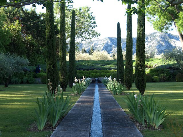iris, garden, provence, saint remy de provence, france, water feature, green, alpilles mountains, french essence, vicki archer