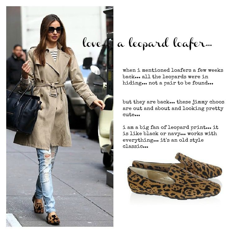 Wanted: A Leopard Loafer - Vicki Archer