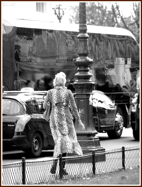 Paris Fashion - Vicki Archer