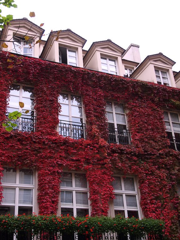 Le Pavilion de la Reine , Place des Voges, Paris, French Essence, Vicki Archer