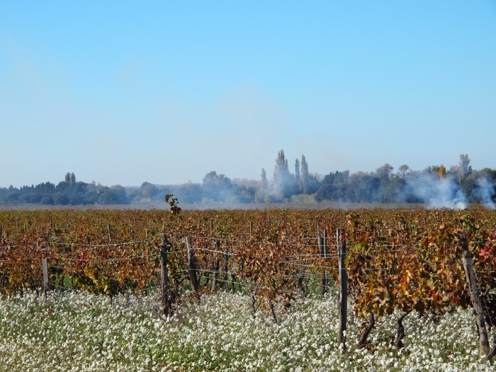 Provence, Saint Remy de Provence, Vicki Archer