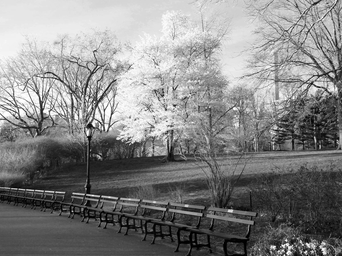 Central Park in New York, Upper East Side, Images Vicki Archer