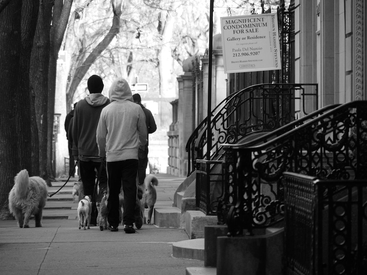 Upper East Side, New York, Dog Walkers, Images Vicki Archer