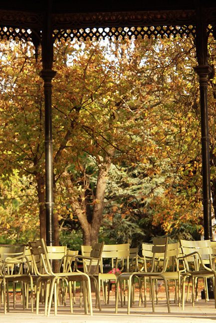 autumn in the jardin du luxembourg, paris, vicki archer