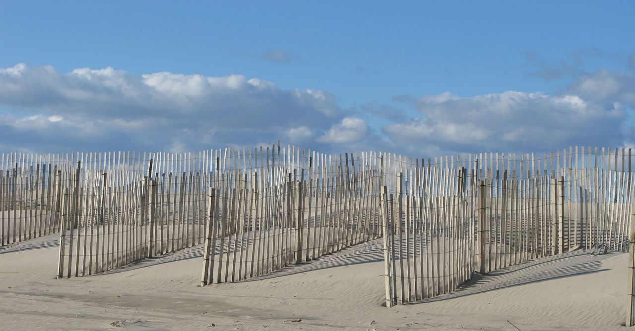 East Hampton beaches, vickiarcher.com